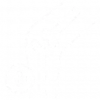Ortho Protech Begorre (8).webp